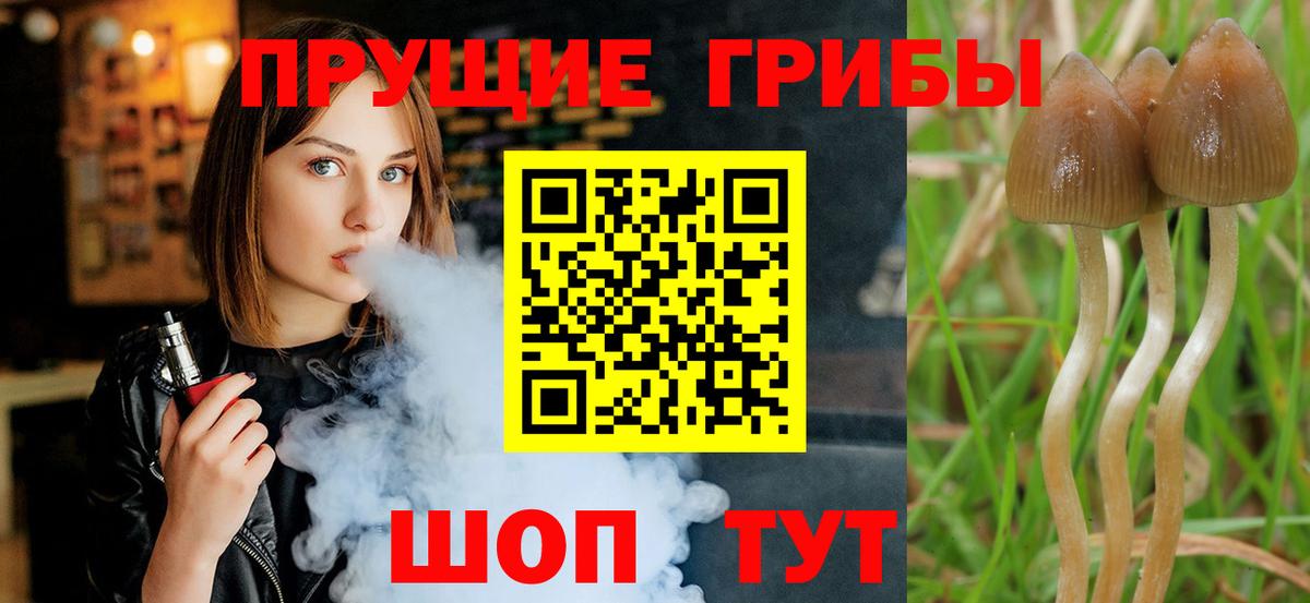 Галлюциногенные грибы MAGIC MUSHROOMS  Вход с VPN  Ухта 
