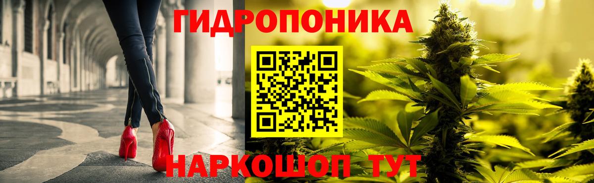 Бошки Шишки Amnesia Ухта